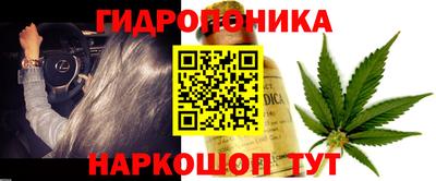 мяу мяу мука Коммунар