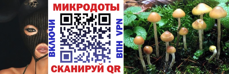 Галлюциногенные грибы Magic Shrooms  наркота  Кинешма 