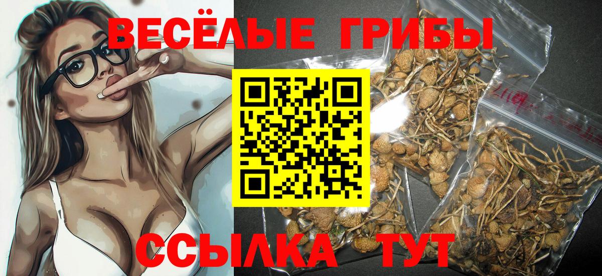Галлюциногенные грибы MAGIC MUSHROOMS  Вход с VPN  Кинешма 
